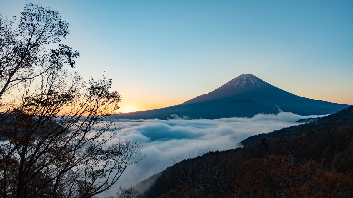 El monte Fuji al amanecer sobre un mar de nubes, con árboles en silueta en primer plano